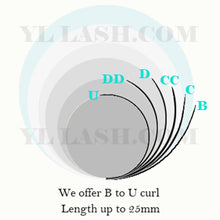 Cargar imagen en el visor de la galería, Easy Fan -Smart Fan - Blossom Lash - 0.05mm Cashmere PRO Lashes